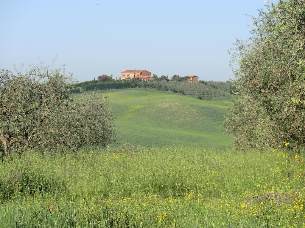 Agriturismo Podernuovo Asciano Exterior foto