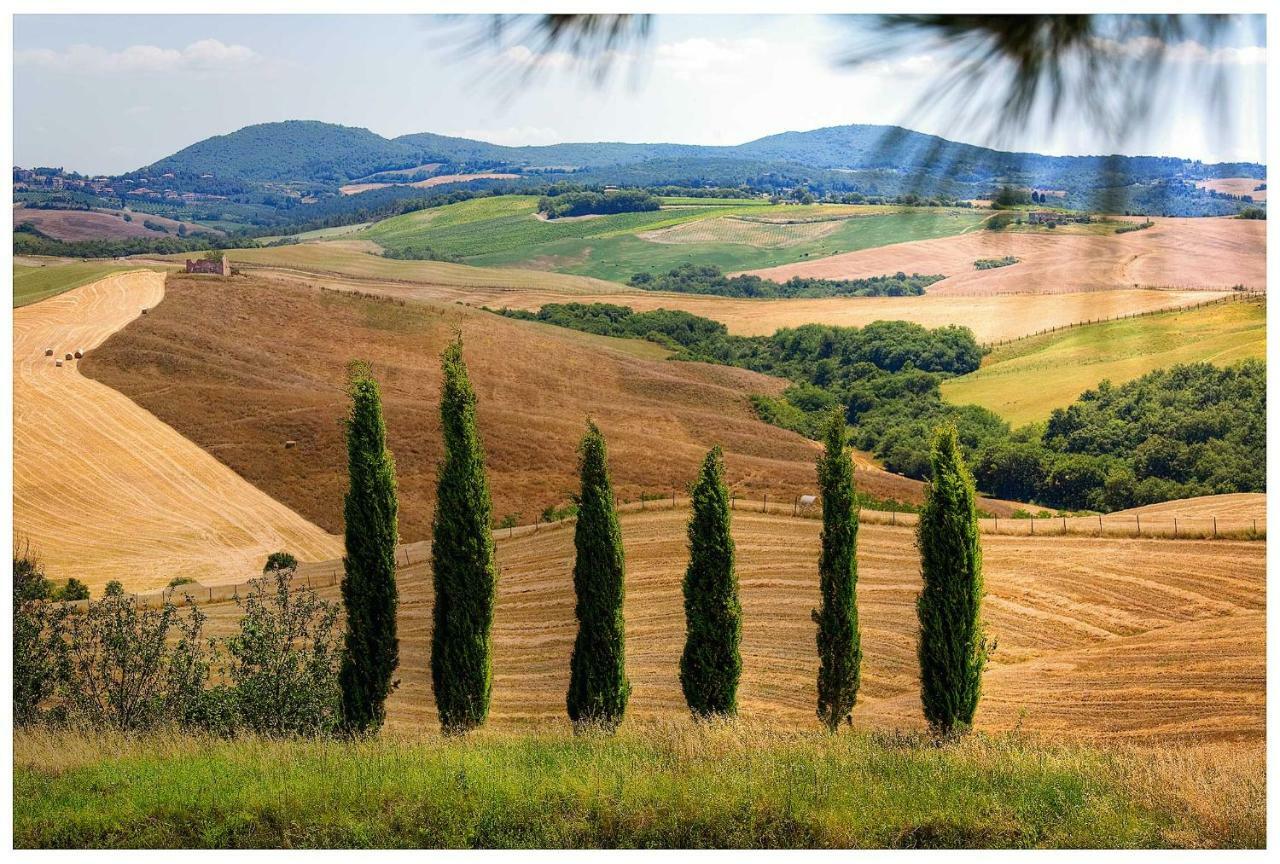 Agriturismo Podernuovo Asciano Exterior foto