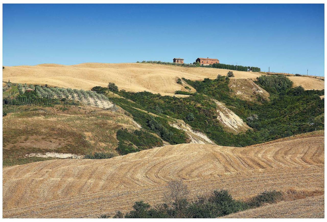 Agriturismo Podernuovo Asciano Exterior foto